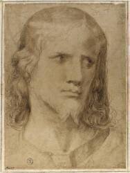 Tête du Christ, vue de face (Cavalier d'Arpin) - Muzeo.com
