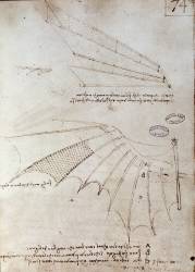 Aile (Léonard de Vinci) - Muzeo.com