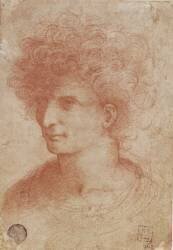 Buste de jeune homme aux cheveux longs (Léonard de Vinci) - Muzeo.com