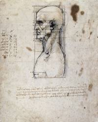 Buste d'un homme de profil avec mesures et notes (Léonard de Vinci) - Muzeo.com