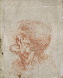 Caricature de la tête d'un vieil homme (Léonard de Vinci) - Muzeo.com