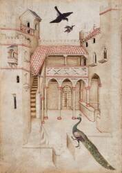 Etude d'architecture avec un paon et deux oiseaux (Michelino da Besozzo) - Muzeo.com