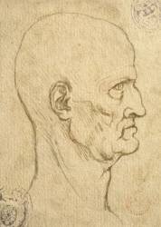 Étude des proportions humaines (Léonard de Vinci) - Muzeo.com