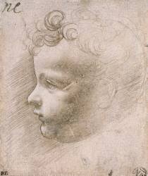 Etude pour L'Enfant Jésus de Vierge aux Rochers (Louvre) (Leonardo da Vinci) - Muzeo.com