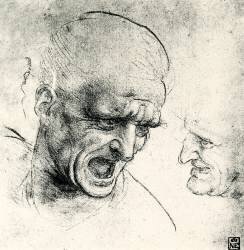 Études de la tête (Léonard de Vinci) - Muzeo.com