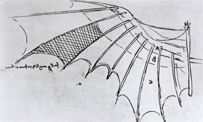 Études de l'articulation des ailes (Léonard de Vinci) - Muzeo.com