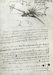 Formation à l'aile (Léonard de Vinci) - Muzeo.com