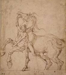 Homme nu tenant un cheval cabré (Albrecht Dürer) - Muzeo.com