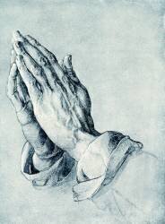 Les mains pliées d'un apôtre (Albrecht Dürer) - Muzeo.com