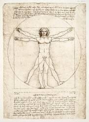 Les proportions de la figure humaine (Léonard de Vinci) - Muzeo.com