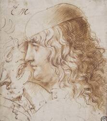 Profil de jeune homme aux cheveux longs, et autres études de têtes (Léonard de Vinci) - Muzeo.com
