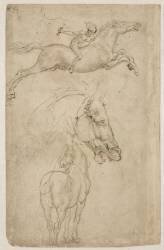 Tête de cheval, vue de la croupe d'un cheval (Léonard de Vinci) - Muzeo.com