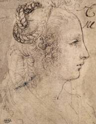 Tête de femme de profil, les cheveux nattés (Léonard de Vinci) - Muzeo.com