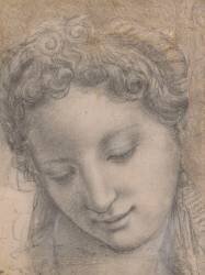 Tête de femme inclinée, souriante et les yeux baissés (Bronzino) - Muzeo.com