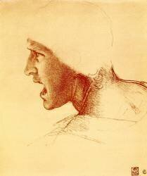 Tête de guerrier hurlant et attaquant (Léonard de Vinci) - Muzeo.com