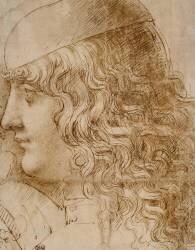 Tête de jeune homme, Salaino (?) (Léonard de Vinci) - Muzeo.com