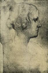 Tête de profil femelle (Léonard de Vinci) - Muzeo.com