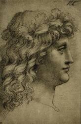 Tête d'un jeune homme (Léonard de Vinci) - Muzeo.com