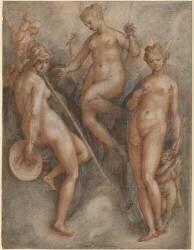 Trois déesses : Minerve, Junon et Vénus (Jan van der Straet) - Muzeo.com