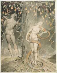Adam et Eve, Illustration pour 