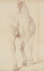 Cheval debout, vu de dos (Edme Bouchardon) - Muzeo.com