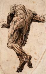 Etude d'écorché vu de dos (Théodore Géricault) - Muzeo.com