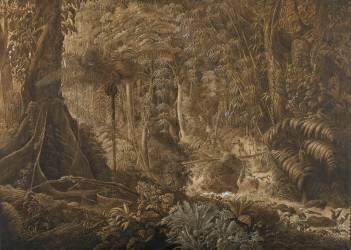 Forêt vierge du Brésil (Charles Othon Frédéric...) - Muzeo.com