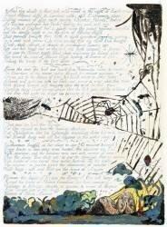 Illustration from 'Europe: a Prophecy' (William Blake) - Muzeo.com