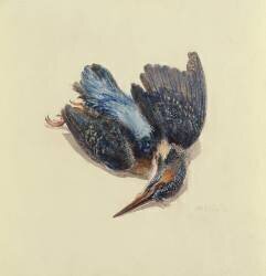 Kingfisher (Joseph Mallord William Turner) - Muzeo.com