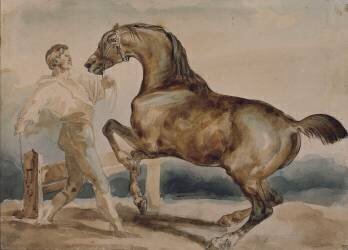 Le dressage (Théodore Géricault) - Muzeo.com