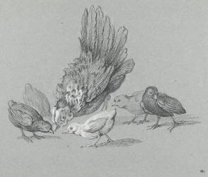 Poule picorant avec cinq poussins (Jean-Baptiste Oudry) - Muzeo.com