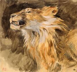Tête de lion rugissant (Eugène Delacroix) - Muzeo.com