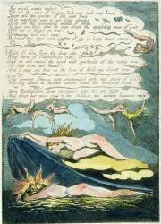 The shrill winds wake (William Blake) - Muzeo.com