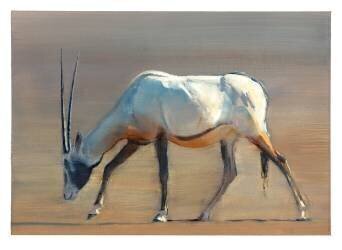 Arabian Oryx (Mark Adlington) - Muzeo.com