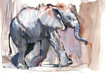 Baby elephant (Mark Adlington) - Muzeo.com