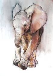 Baby Elephant 2 (Mark Adlington) - Muzeo.com