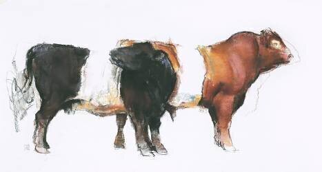 Belties (Mark Adlington) - Muzeo.com
