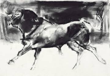 Black Bull (Mark Adlington) - Muzeo.com