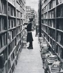 Book Store (Max Ferguson) - Muzeo.com