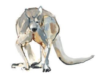 Boxer (Mark Adlington) - Muzeo.com