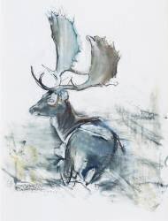 Buck in the Grass (Mark Adlington) - Muzeo.com