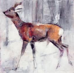 Buck in the snow (Mark Adlington) - Muzeo.com