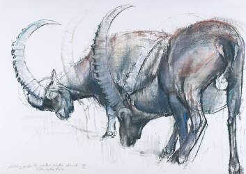 Building up for Winter (Mark Adlington) - Muzeo.com