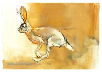 Cape Hare (Mark Adlington) - Muzeo.com