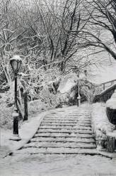 Central Park Snow (Max Ferguson) - Muzeo.com