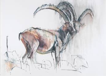 Col di Vermianaz (Mark Adlington) - Muzeo.com