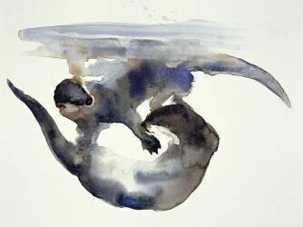 Courtship (Mark Adlington) - Muzeo.com