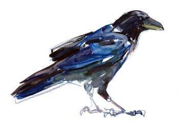 Crow (Mark Adlington) - Muzeo.com