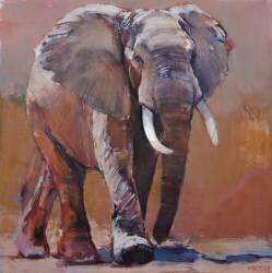 Dry Season (Mark Adlington) - Muzeo.com