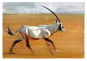 Galloping Oryx (Mark Adlington) - Muzeo.com